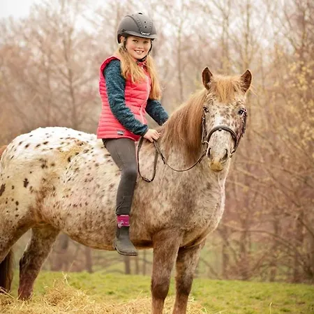 Hotel Soodehof Eins Hofgeismar