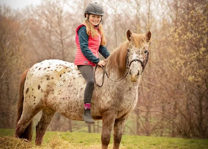 Hotel Soodehof Eins Hofgeismar