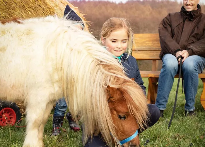 Hotel Soodehof Eins Hofgeismar